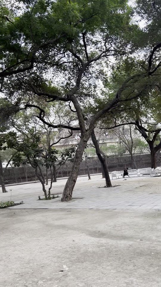 Sir Ganga Ram Residence Gulberg 3